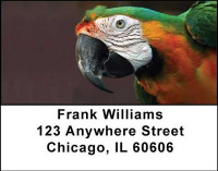 Macaw Parrots Address Labels | LBANI-41