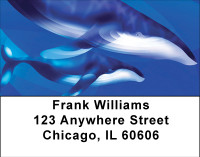 Whale Sightings Address Labels | LBBBE-06