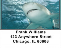 Sharks On Parade Address Labels | LBQBC-42