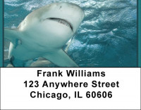 Sharks On Parade Address Labels | LBQBC-42