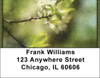Springtime Blossoms Address Labels | LBQBG-33