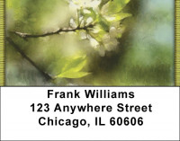Springtime Blossoms Address Labels | LBQBG-33