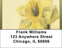 Artistic Daffodils Address Labels | LBQBG-38