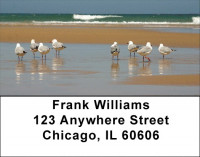 Beach Birds Address Labels | LBQBP-01
