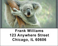 Kuddly Koala Address Labels | LBZANJ-37