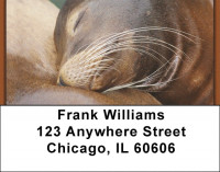 Sleeping Animals Address Labels | LBZANJ-96