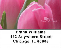 Bloom Where You're Planted Address Labels | LBZFLO-04