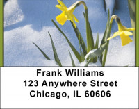 Daffodils First To Bloom Address Labels | LBZFLO-13