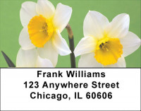 Dreamy Daffodils Address Labels | LBZFLO-72