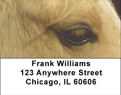 Horses Seeing Eye To Eye Address Labels