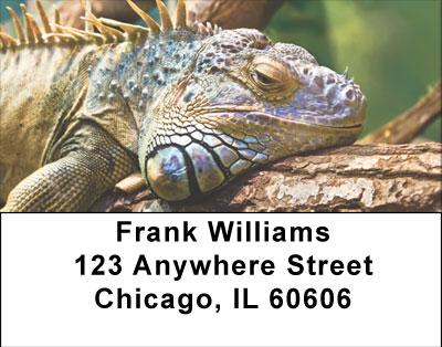 Iguana Be Cool Address Labels