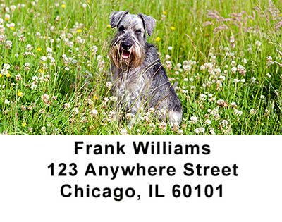 Schnauzers Address Labels
