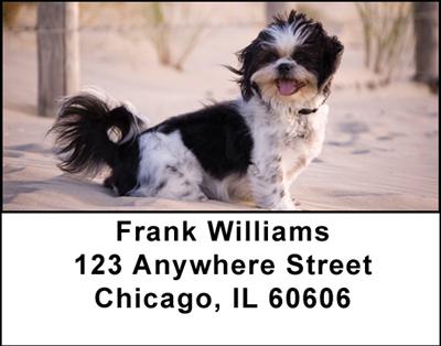 Shih Tzu Address Labels