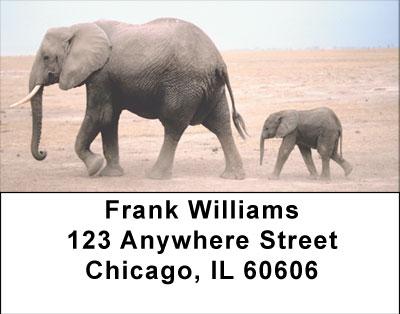 Elephants In The Wild Address Labels