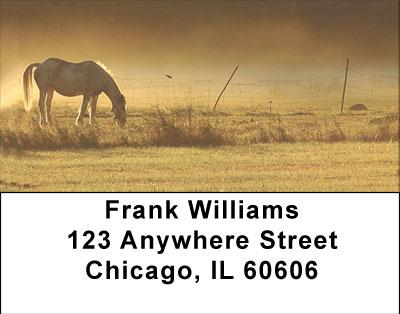Early Morning Address Labels