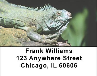 Razzle-Dazzle Reptiles Address Labels