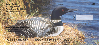 Nesting Loons Personal Checks