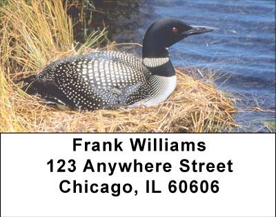 Nesting Loons Address Labels
