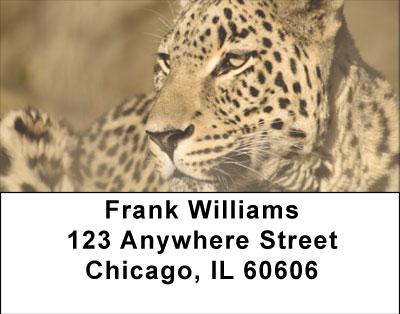 Spot On Address Labels