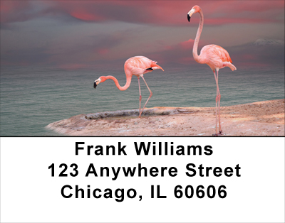 Pink Flamingo Address Labels
