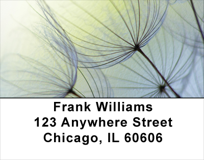Dandelion Address Labels