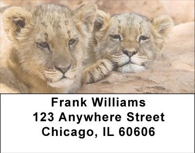 The Jungle Royals Address Labels