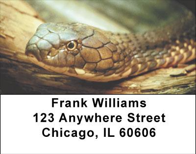 Slithering Serpants Address Labels