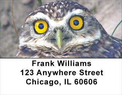 Wise Old Owls Address Labels