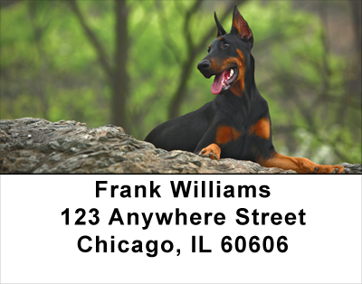 Alert & Watching Address Labels