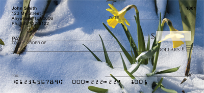 Daffodils First To Bloom Personal Checks