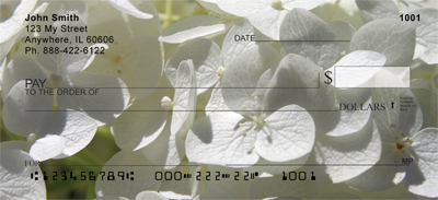 Wonder In White Personal Checks