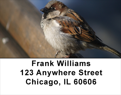 Sparrow Inspirations Address Labels