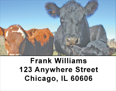 Black Angus Address Labels