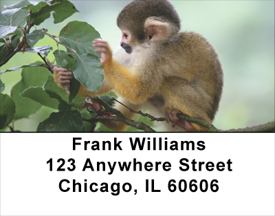 Monkey Business Address Labels