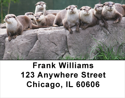 Otter Address Labels