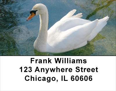 Beauty and Grace Address Labels