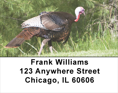 Turkey Treasures Address Labels