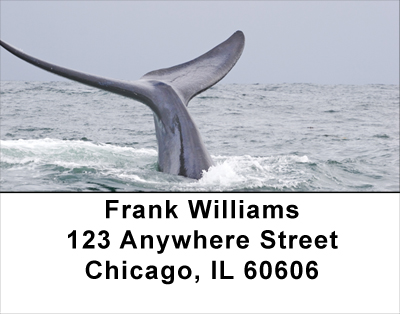  Whale Of A Tail Address Labels
