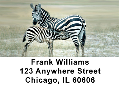 Zebra & Babies Address Labels