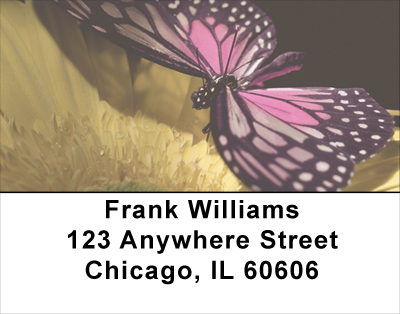 Butterfly Perspective Address Labels