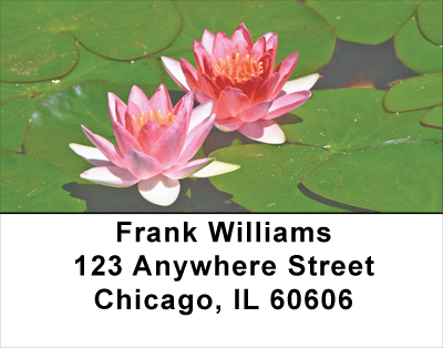 Lotus Lilies Address Labels
