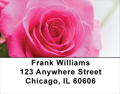 Pink Roses Address Labels