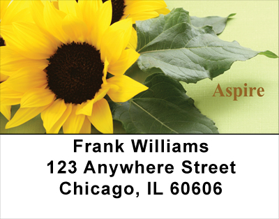 Day Brighteners Address Labels