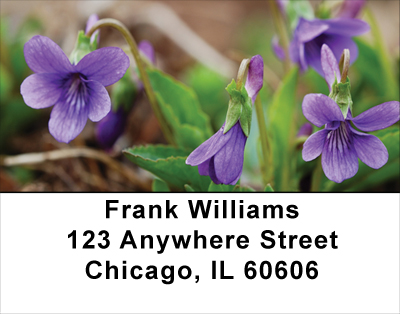 Violets Address Labels