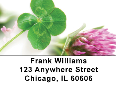 Clovers Address Labels