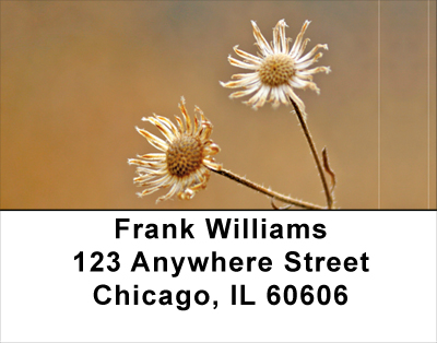 Dried Flowers Address Labels