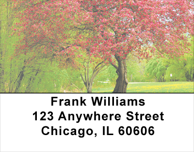Trees In Springtime Address Labels