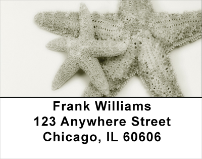 Shells In Taupes and Sage Address Labels