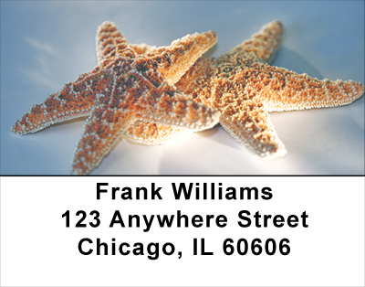 Waves N Things Address Labels