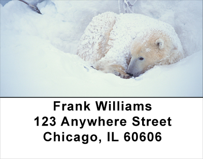 Cozy Address Labels
